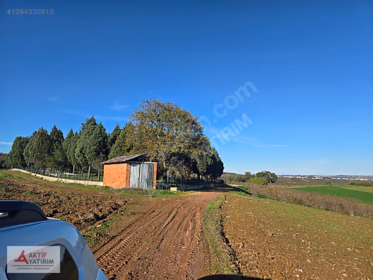 SAKARYA KAYNARCA CEBEK 2786 M2 KARE ORMANA CEPHELİ RESMİ YOLLU - SAKARYA KAYNARCA fotoğraf 2