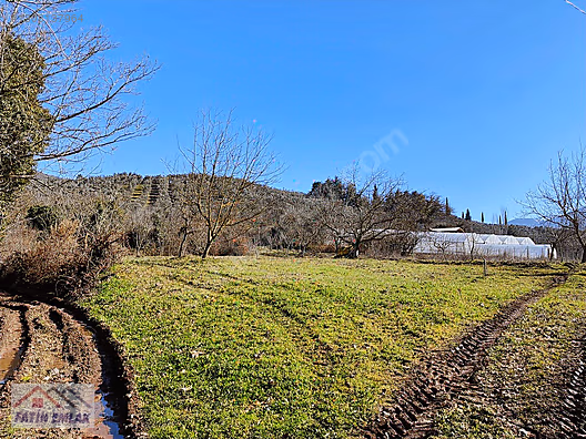 GEMLİK MURATOBA KÖYÜ 1134m² İMARLI SATILIK BAHÇE - BURSA GEMLİK fotoğraf 18