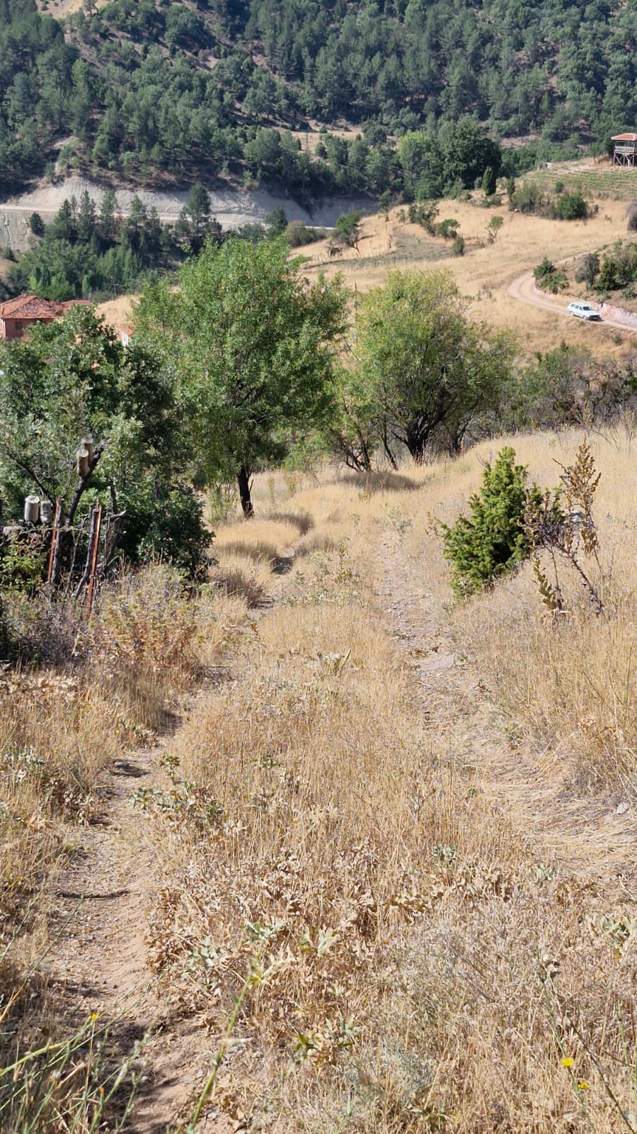 KÜTAHYA EMET MUSALAR  KÖYÜNDE  219  M² TARLA  SATILIKTIR - KÜTAHYA EMET fotoğraf 13