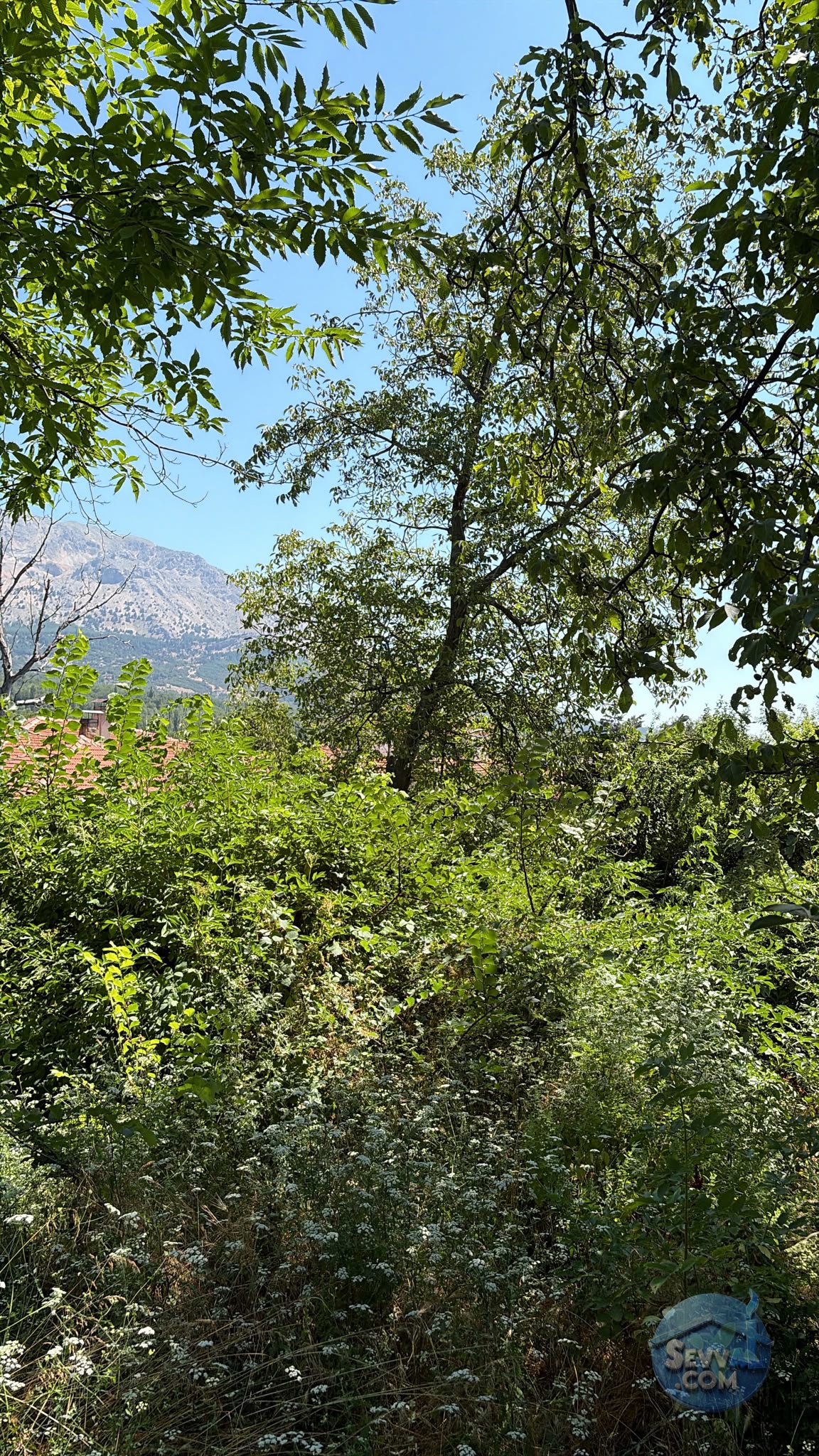 AĞLASUN SAKARCA MAHALLESİNDE SATILIK MUHTELİF ARSA - BURDUR AĞLASUN fotoğraf 24