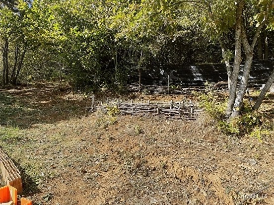 GEÇİTAĞZI KÖYÜNDE ORMAN İÇİNDE KULLANIMA HAZIR AHŞAP EV - KIRKLARELİ MERKEZ fotoğraf 33