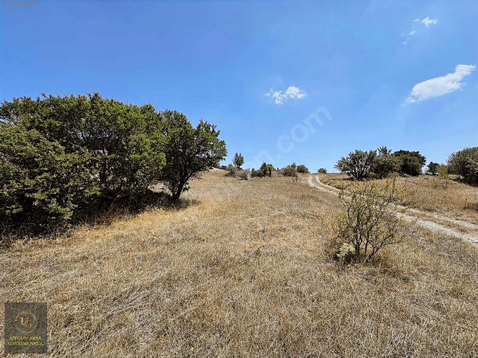 BOLU KIBRISCIK SARIKAYA'DA 8.370 M2 UYGUN ARSA - BOLU KIBRISCIK fotoğraf 3