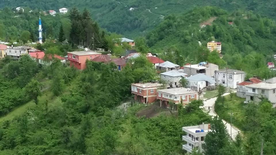 GİRESUN GÖRELE ESENYURT KÖYÜNDE 138M² FINDIK BAHÇEMİZ SATILIKTIR - GİRESUN GÖRELE fotoğraf 2
