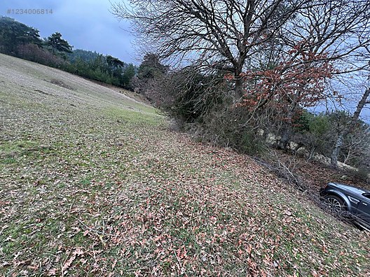 BALIKESİR İVRİNDİ BOZÖREN KÖYÜNDE 2.600 M² TARLA  SATILIKTIR - BALIKESİR İVRİNDİ fotoğraf 8