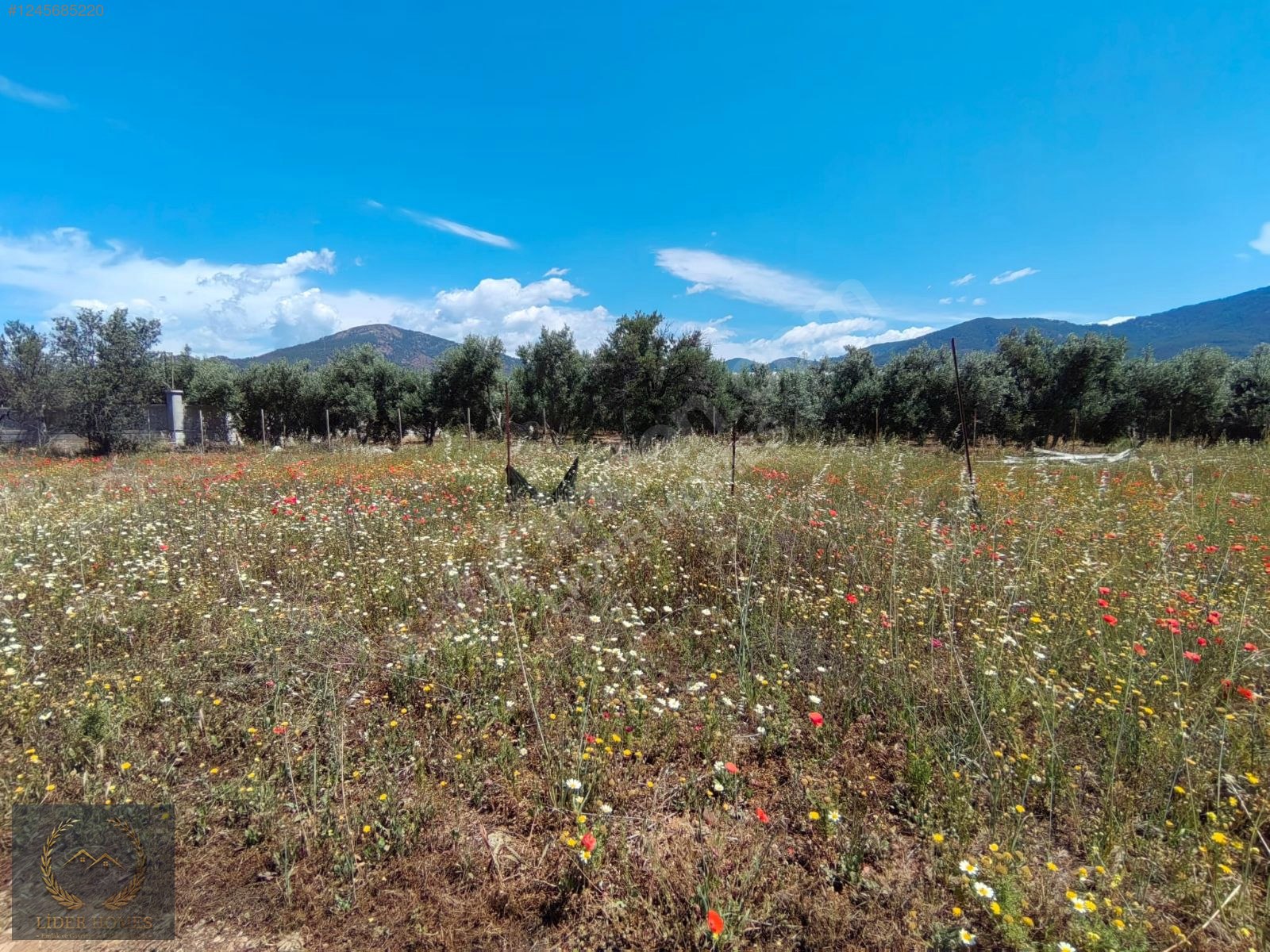 FETHİYE ÇAMKÖY DE %25 İMARLI ARSA 300 M - MUĞLA FETHİYE fotoğraf 6