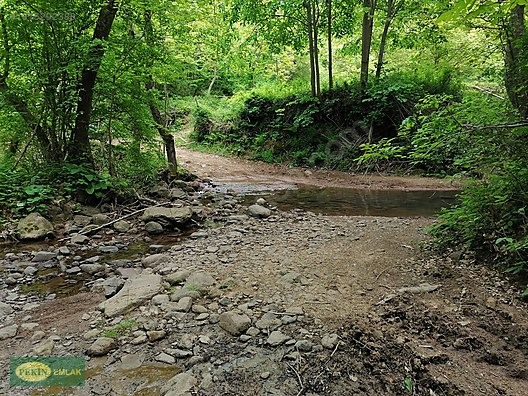 GÖLCÜK SİRETİYE KÖYÜNDE 3443 M2 SATILIK TARLA - KOCAELİ GÖLCÜK fotoğraf 6