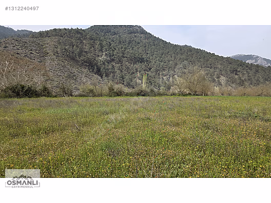 GÖKSU NEHRİ KENARINDA 2.600 M2 RESMİ YOLLU DÜZ ARAZİ- OSMANLIDAN - BİLECİK OSMANELİ fotoğraf 5