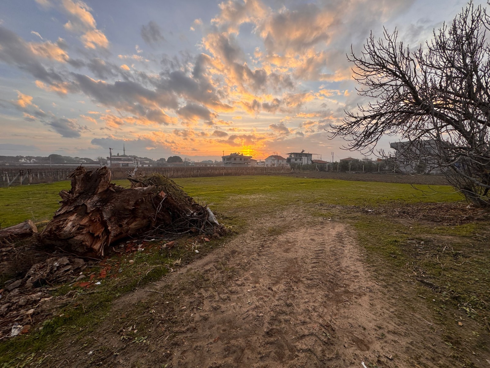 Manisa Saruhanlı Hacırahmanlı Mah. Satılık Arsa - MANİSA SARUHANLI fotoğraf 4