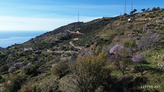 ANAMUR UCARIDA SATILIK 11500 M2 TARLA - MERSİN ANAMUR fotoğraf 2