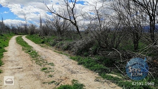 Çevreyoluna Çok Yakın 5 Dönüm Bahçe, 2 tarafı da yol - ANTALYA KORKUTELİ fotoğraf 56