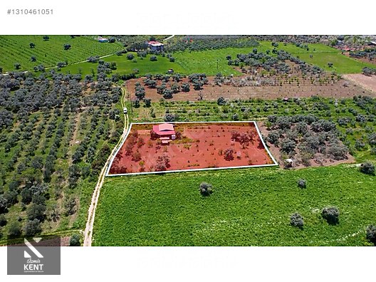 Kemalpaşa Halilbeylide Satılık 3000 m2 Bahçe 40 m2 Ev - İZMİR KEMALPAŞA fotoğraf 28