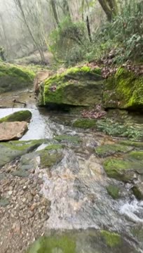 TAKASLI TAMAMEN İZOLE ORMAN İÇİNDE İNŞAAT RUHSATLI EMSALSİZ ARSA - KOCAELİ KARTEPE fotoğraf 2
