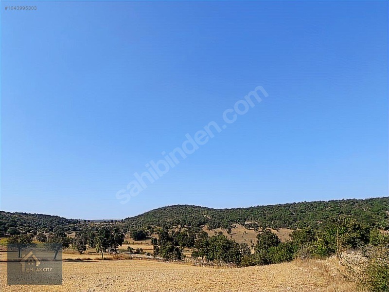 YOK BÖYLE FİYAT!! 45.321 M2 DURSUNBEY/KARAMANLARDA FIRSAT ARAZİ - BALIKESİR DURSUNBEY fotoğraf 8