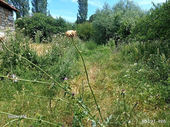 İZMİR BERGAMA KOZAK YAYLASI ÇAMAVLU MAH DE 300 M2 230 M2 YANYANA İKİ ADET ARSA - İZMİR BERGAMA fotoğraf 7