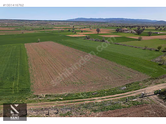 Uşak Banaz Satılık 5.608 m2 Sanayi İmarlı Arsa - UŞAK BANAZ fotoğraf 13