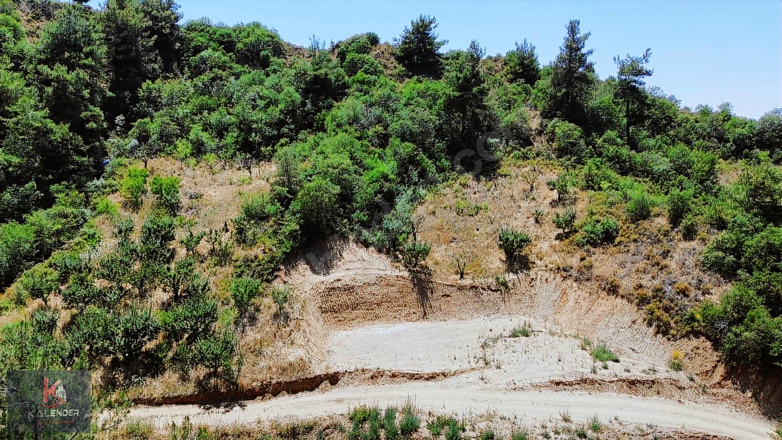 KALENDER EMLAKTAN OSMANCIKTA 1650 M2 ERİKLİK - MANİSA TURGUTLU fotoğraf 5