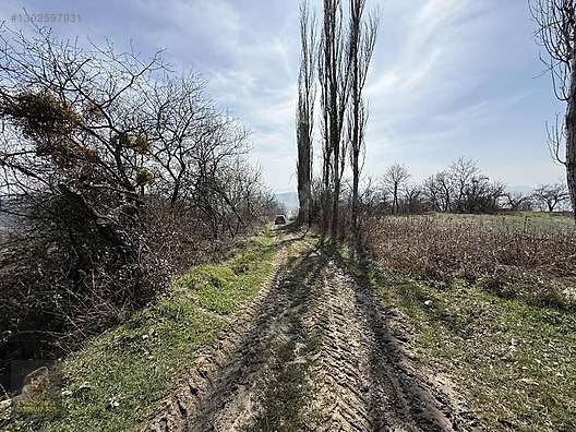 SAKARYA GEYVE DOĞANCIL'DA YOLA CEPHE 7.651 M2 UYGUN ARSA - SAKARYA GEYVE fotoğraf 5