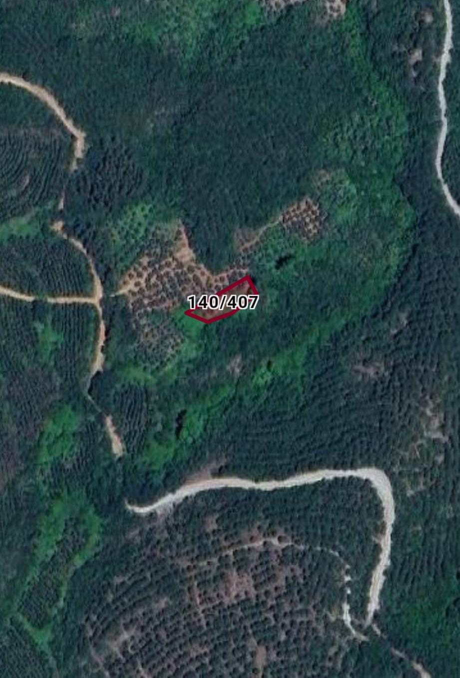 BURSA MUDANYA TALATBEY KÖYÜ 689M² ZEYTİNLİK SATILIK - BURSA MUDANYA fotoğraf 6