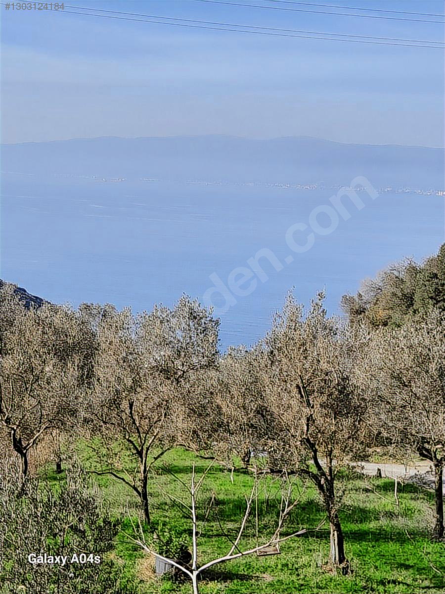 AKKOYUN DAN FULL DENİZ MANZARALI ARSA - KOCAELİ GÖLCÜK fotoğraf 26