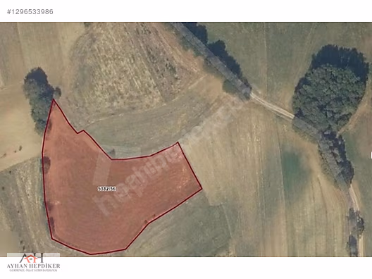 ADAPAZARI SALMANLI MERKEZDE 6074 M2 YOLA BİR PARSEL HARİKA TARLA - SAKARYA ADAPAZARI fotoğraf 9