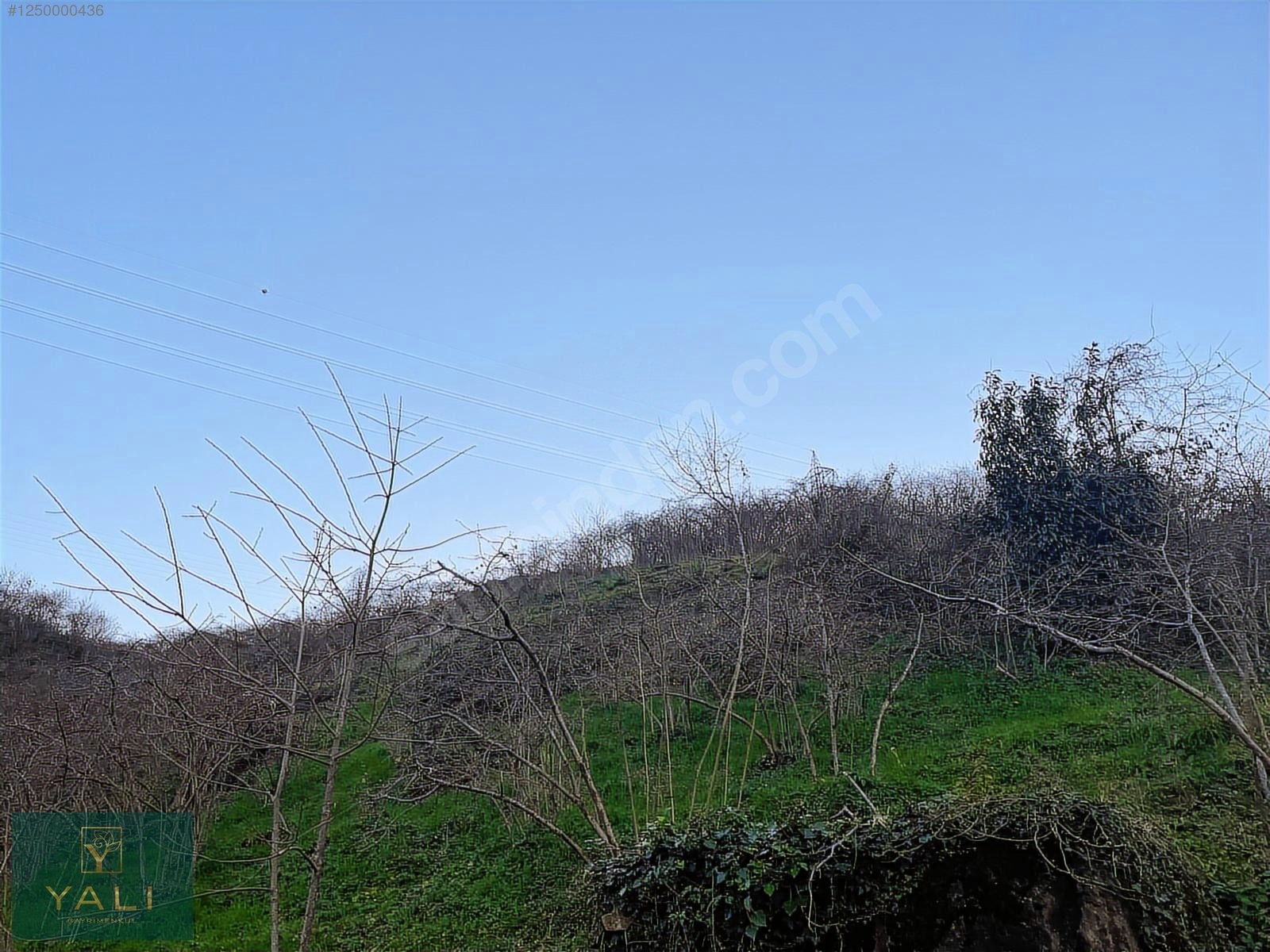 SELDEĞİRMENİ'NDE İMARLI FULL MANZARALI 716M2 SATILIK ARSA - GİRESUN MERKEZ fotoğraf 3