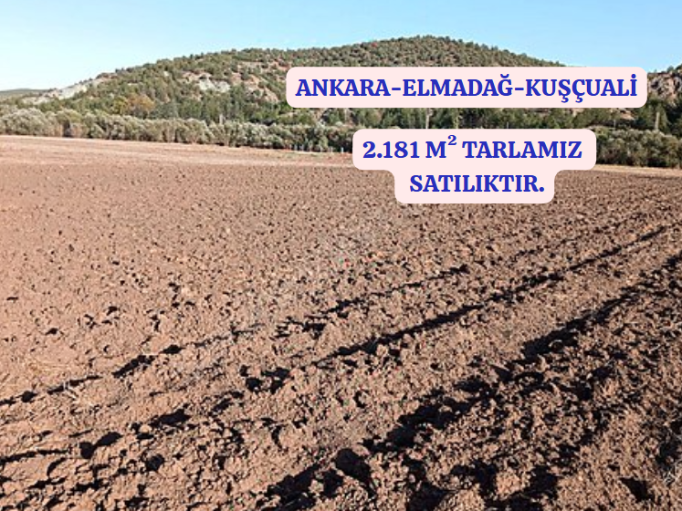 ANKARA ELMADAĞ KUŞÇUALİ KÖYÜNDE 2.181 M² TARLAMIZ SATILIKTIR. - ANKARA ELMADAĞ fotoğraf 2
