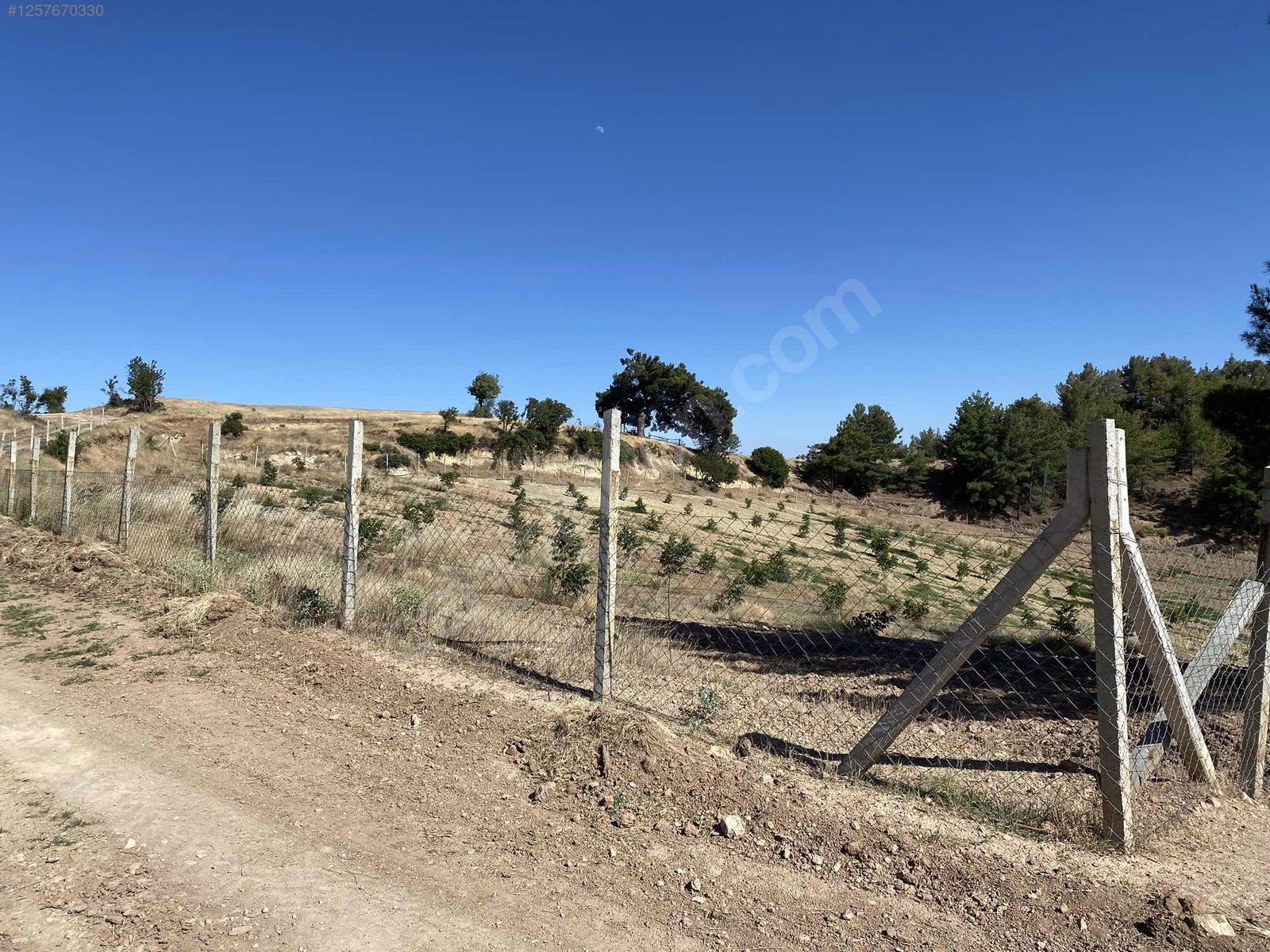 DENİZLİ BULDAN BOSTANYERİ    9.645 M²  TARLA SATILIKTIR - DENİZLİ BULDAN fotoğraf 12