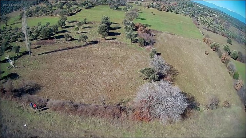 *ARYA*DAN YUNUSLAR KÖYÜNDE 2900 M2 DÜZ ZEMİN TARLA - BALIKESİR BURHANİYE fotoğraf 2