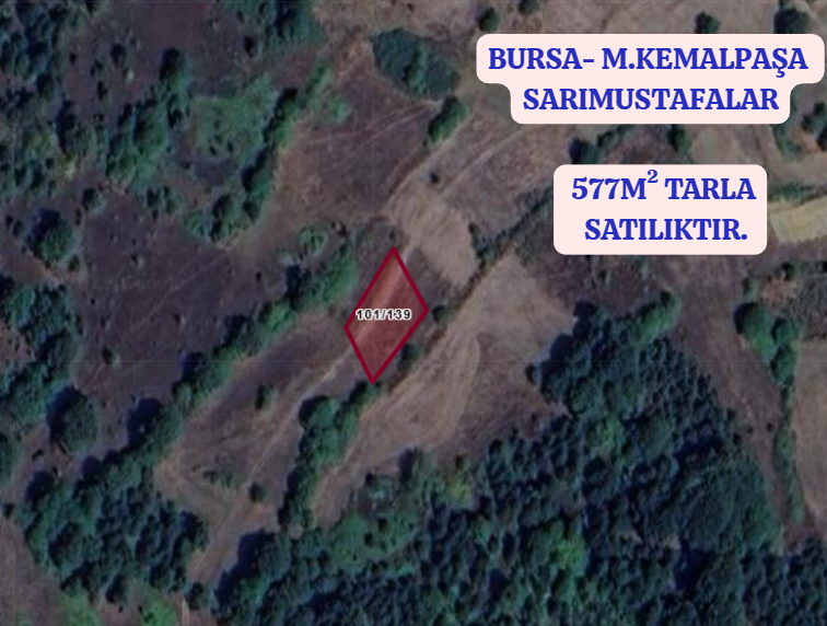 BURSA M.KEMALPAŞA SARIMUSTAFALAR 577 M² TARLA SATILIKTIR. - BURSA MUSTAFAKEMALPAŞA fotoğraf 2