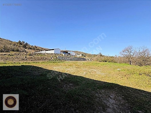 KESTEL GÖLCÜK MH SATILIK GÖL KENARI ÇİFTLİK - BURSA KESTEL fotoğraf 13