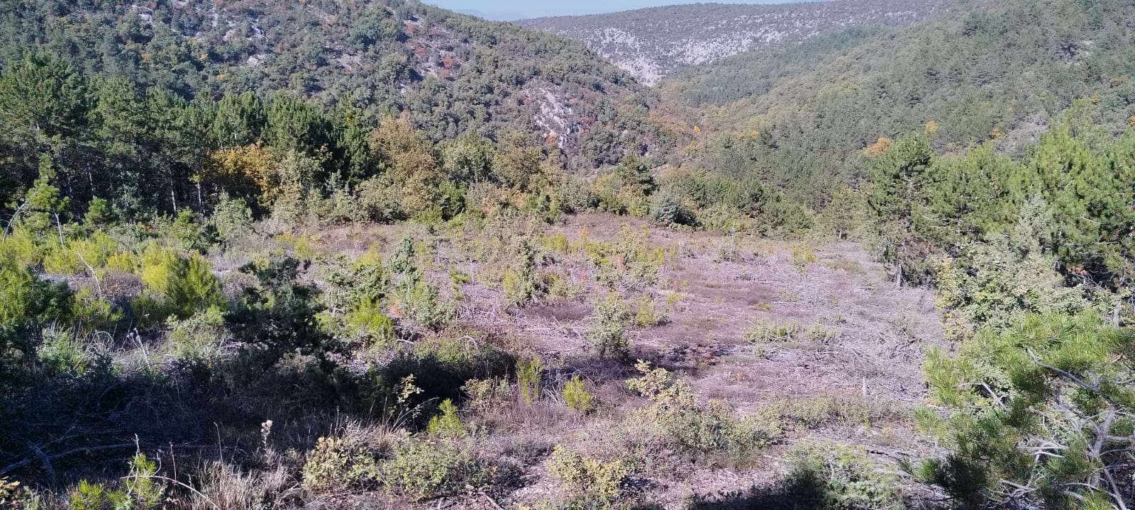 İlan Resmi