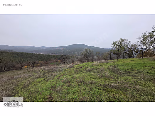 RESMİ YOLLU 800 M2 MANZARALI HOBİ BAHÇESİ - BİLECİK GÖLPAZARI fotoğraf 6