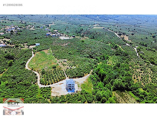 SAKARYA KARASU'DA SATILIK FRSAT KÖY İÇİNDE 635 metre² KUPON ARSA - SAKARYA KARASU fotoğraf 7
