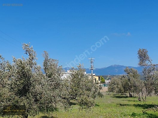 HAVRAN MESCİT MAHALLESİ OTOYOLA YAKIN 10 DÖNÜM SATIILIK ZEYTİNLİ - BALIKESİR HAVRAN fotoğraf 22