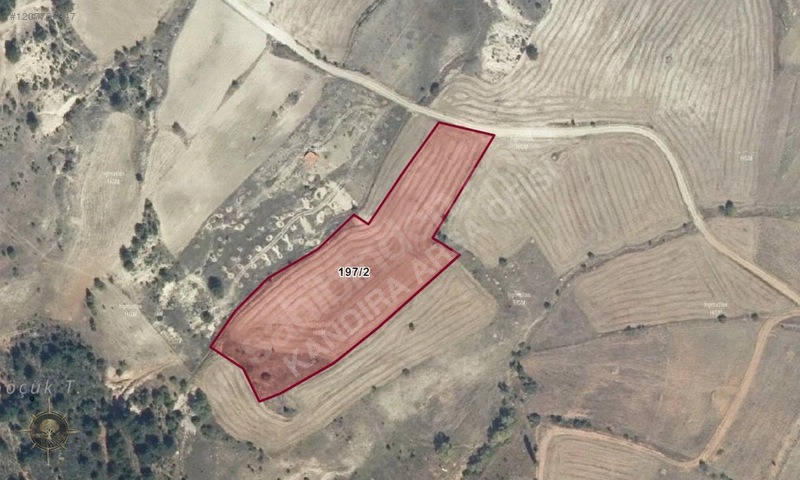 RESMİ YOLLU 9,600 m2 KÖYÜN DİBİNDE HARİKA YATIRIM FIRSATII - KÜTAHYA GEDİZ fotoğraf 5