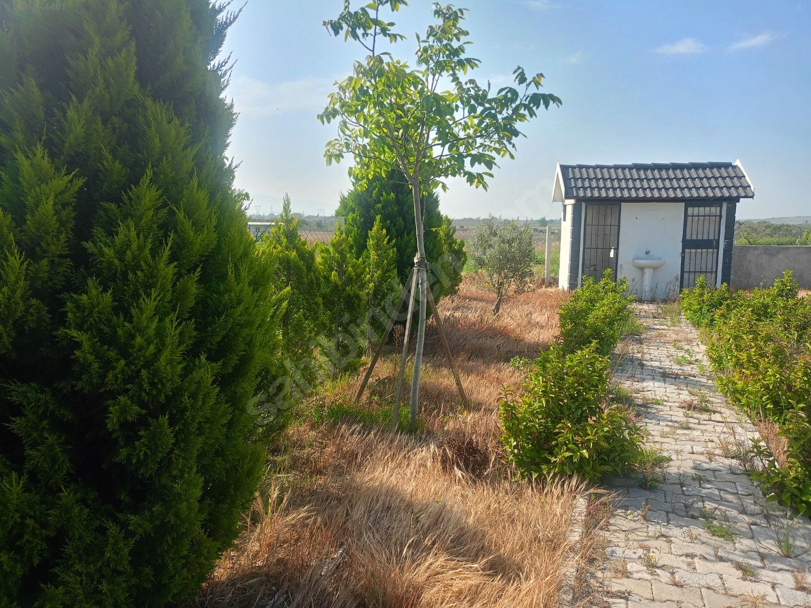 Helvacı barbaros mahallesinde kaçırılmayacak Fırsat Tarla satılıktır. - İZMİR ALİAĞA fotoğraf 10