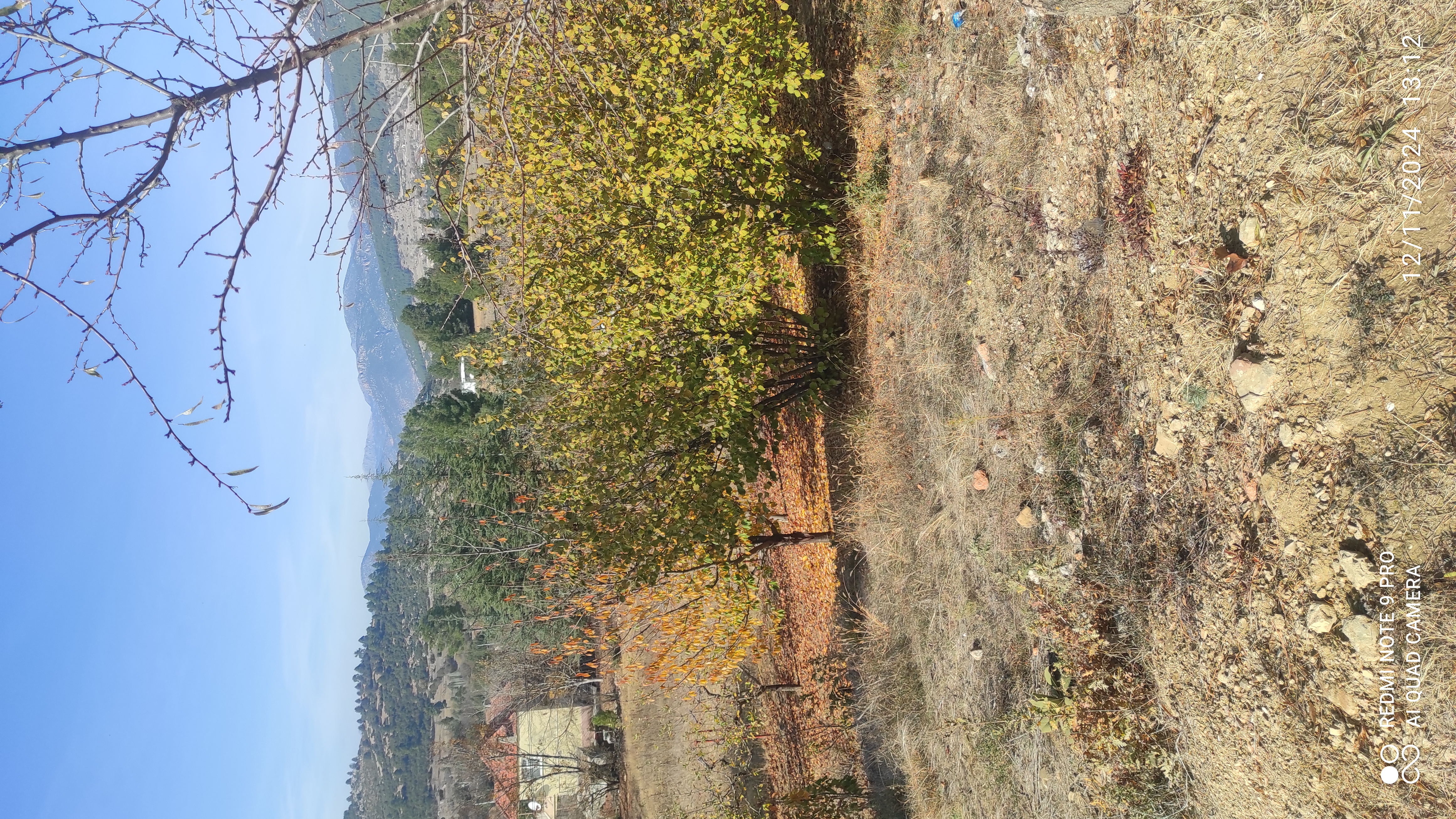BURDUR BUCAKTA 2742.M2 SUYU VE ELEKTRİĞİ BULUNAN MEYVE BAHÇESİ  - BURDUR BUCAK fotoğraf 18