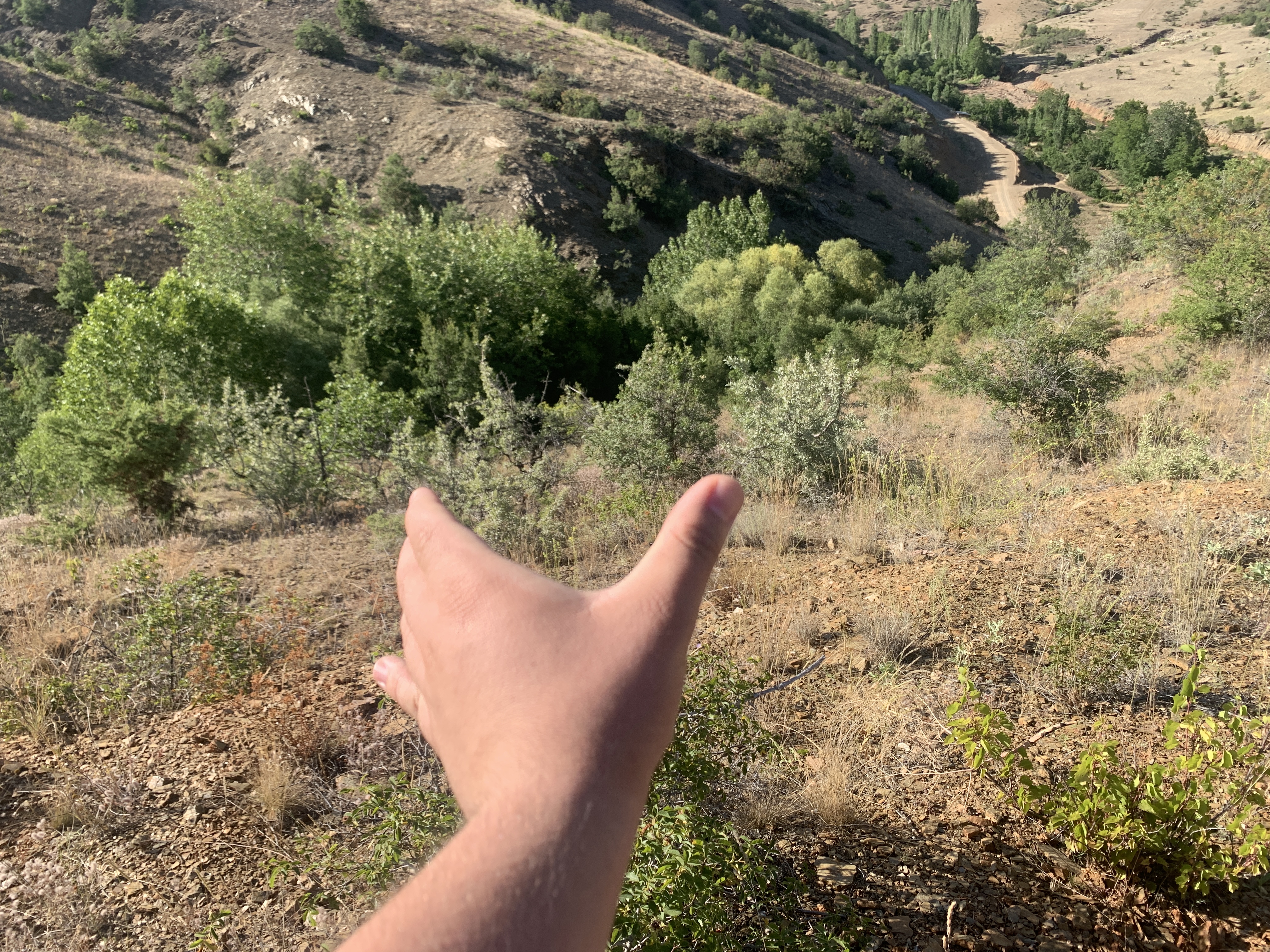 KONYA HADİM EĞİSTE KÖYÜNDE 528 M2 BAĞ SATILIKTIR. - KONYA HADİM fotoğraf 15