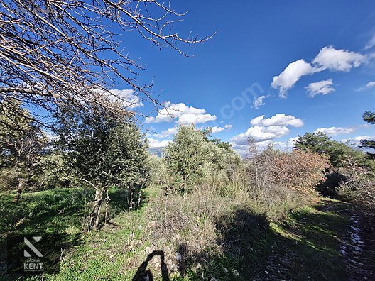 Kemalpaşa Soğukpınar Satılık 325 m2 İmar Sınırında Bahçe - İZMİR KEMALPAŞA fotoğraf 16