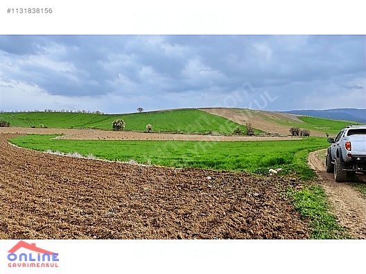 Araç Takaslı - BİLECİK YENİPAZAR fotoğraf 20