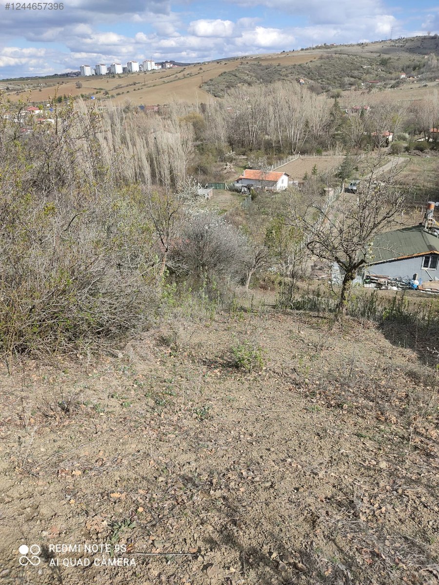 ANKARA ELMADAĞ TATLICA KÖYÜNDE 627 M² BAHÇEMİZ SATILIKTIR. - ANKARA ELMADAĞ fotoğraf 12