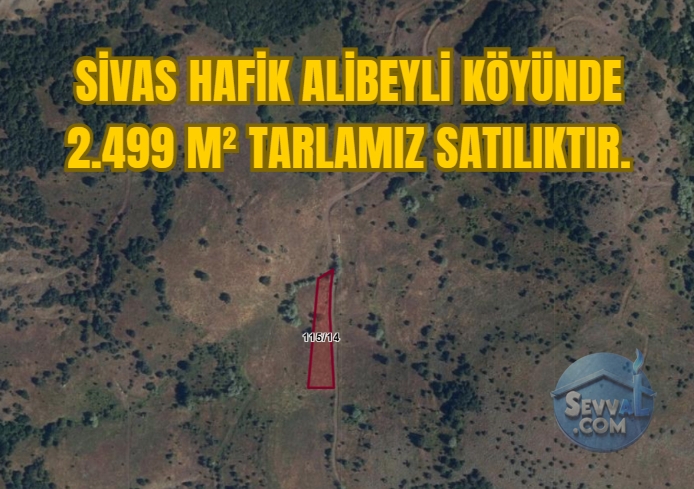 SİVAS HAFİK ALİBEYLİ KÖYÜNDE 2.499 M² TARLAMIZ SATILIKTIR. - Sivas Hafik fotoğraf 6