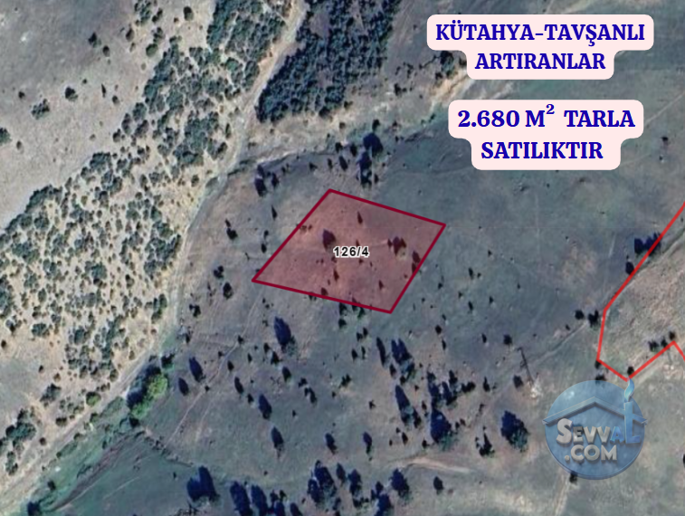 KÜTAHYA TAVŞANLI ARTIRANLAR  KÖYÜNDE  2.680 M²  TARLA  SATILIKTIR - KÜTAHYA TAVŞANLI fotoğraf 2