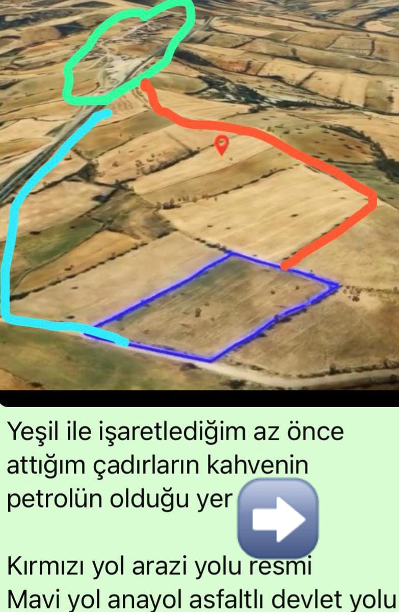 MANİSA KULA EROĞLU  KÖYÜNDE 12.351  M² TARLA  SATILIKTIR - MANİSA KULA fotoğraf 15