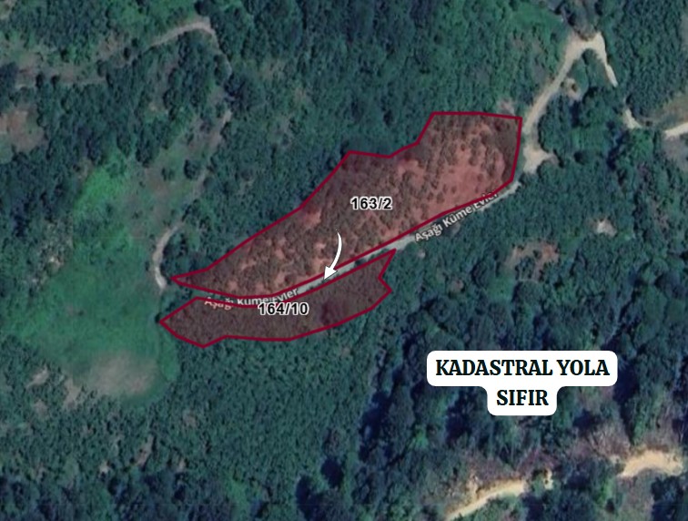 DÜZCE YIĞILCA YILGIN  KÖYÜ’NDE 4.742 M² FINDIK BAHÇESİ SATILIKTIR - DÜZCE YIĞILCA fotoğraf 3