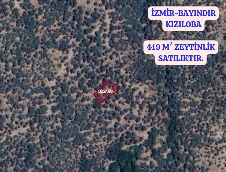 İZMİR BAYINDIR KIZILOBA   MAHALLESİNDE  419  M² ZEYTİNLİK  SATILIKTIR - İZMİR BAYINDIR fotoğraf 2