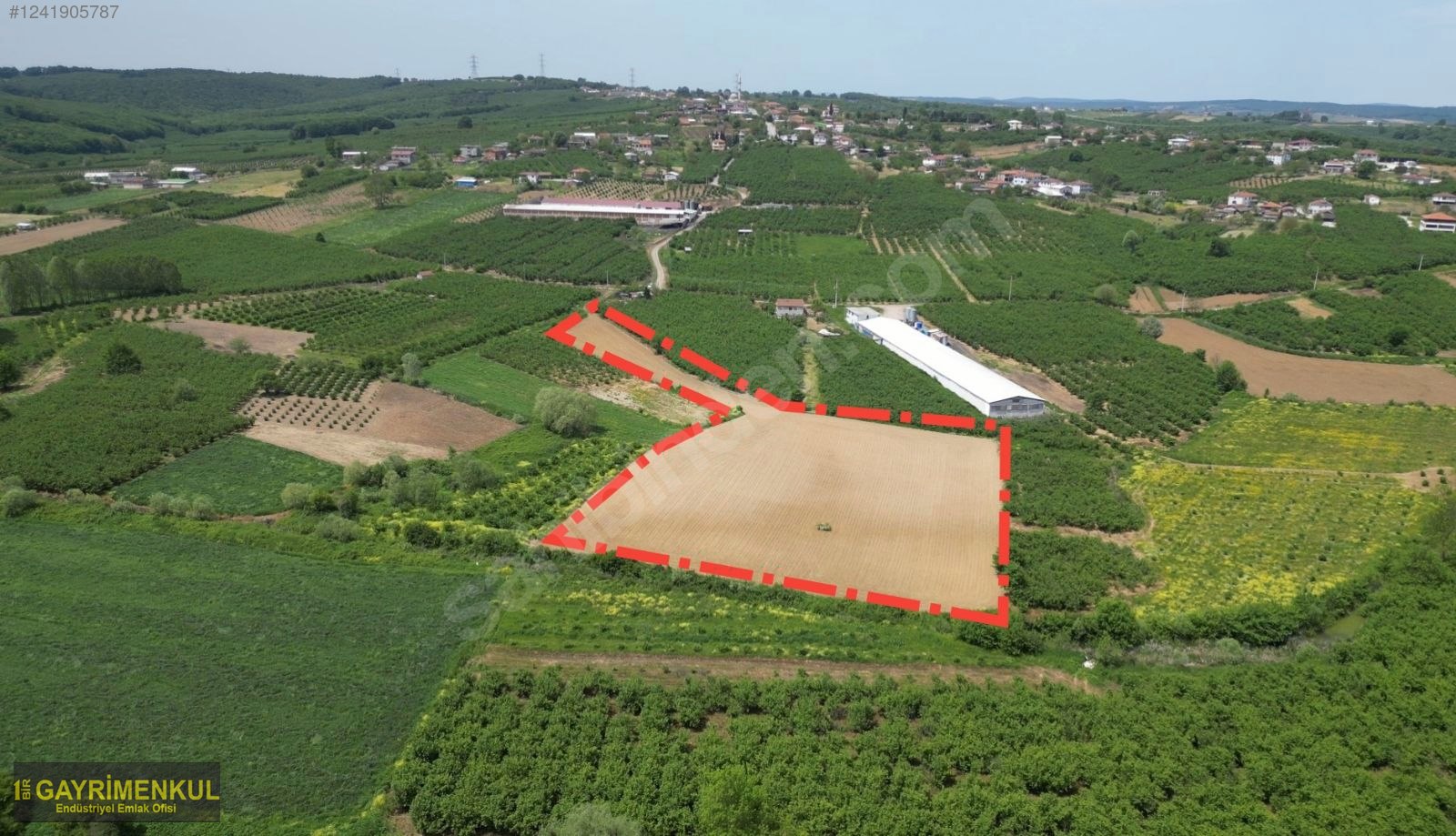 11.752 M² FIRSAT FINDIK BAHÇESİ SAKARYA KAYNARCA ZİAHMET MAH. - SAKARYA KAYNARCA fotoğraf 28