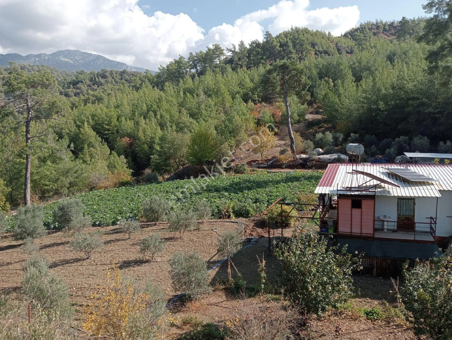 Antalya Kumlucada Satılık Müstakil Bahçe İnceoğlu Emlak - ANTALYA KUMLUCA fotoğraf 2