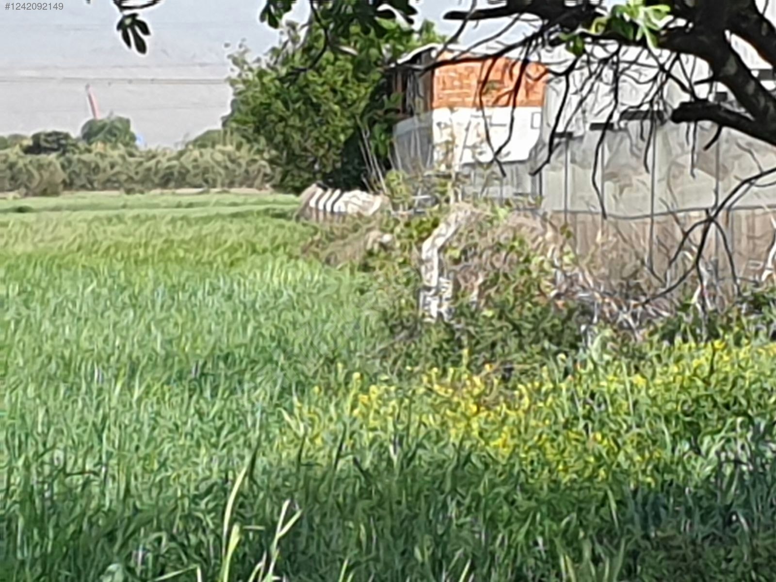 İZMİR-ALİAĞA-HAYRETTİN PAŞA  MAHALLESİ’NDEKİ TARLANIN 2.290 M²Sİ SATILIKTIR - İZMİR ALİAĞA fotoğraf 19