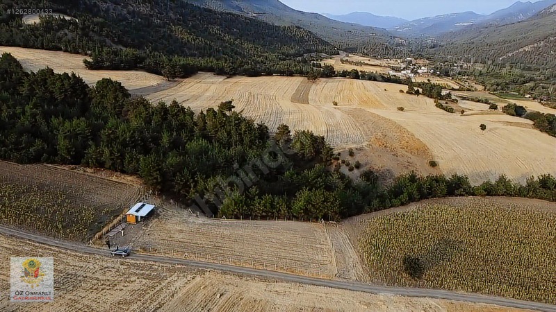 GEYVE'DE 2,300 M2 ARAZİ ÜZERİNDE EKSİKSİZ KONTEYNIR EV VE BAHÇE - SAKARYA GEYVE fotoğraf 2